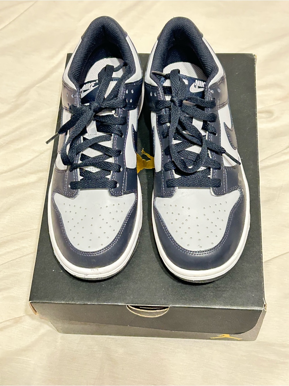Nike Low-Top Sneakers in Navy and Light Gray